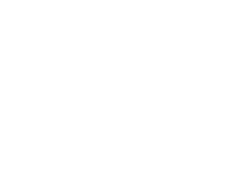 M│N Consulting logo - white