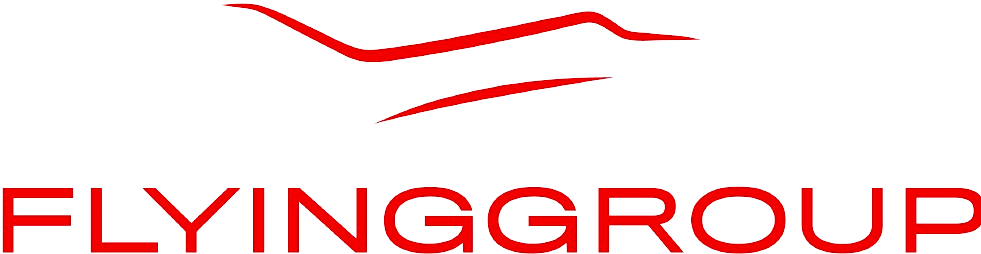 Flying Group Logo
