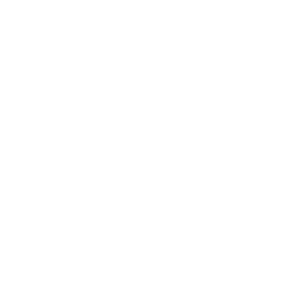MN Consulting logo wit